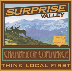 Surprise Valey Chamber of Commerce logo